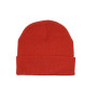 Шапка Acrylic Beanie Toque 